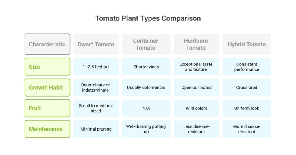 Tomato Plant Types Comparison