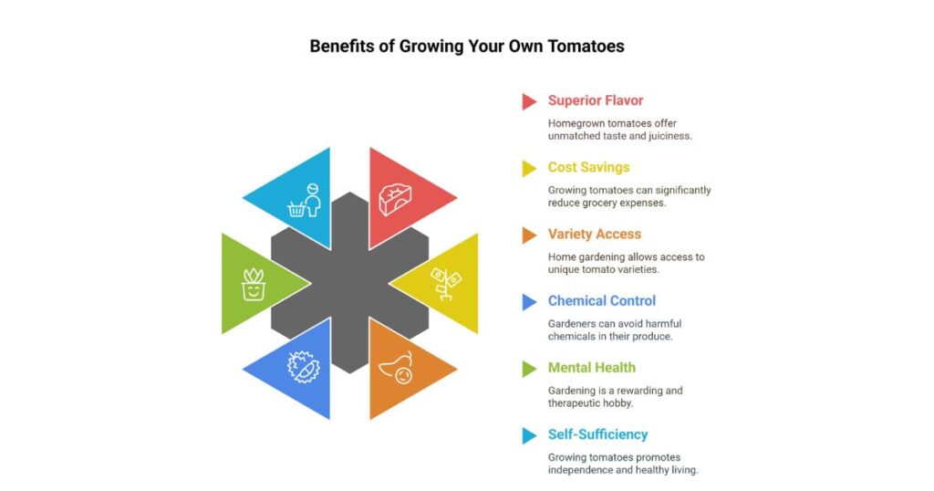 Why Grow Your Tomatoes