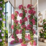 Climbing Plants